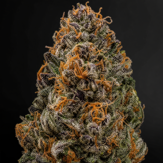 Black Widow | AAAA | 1LB