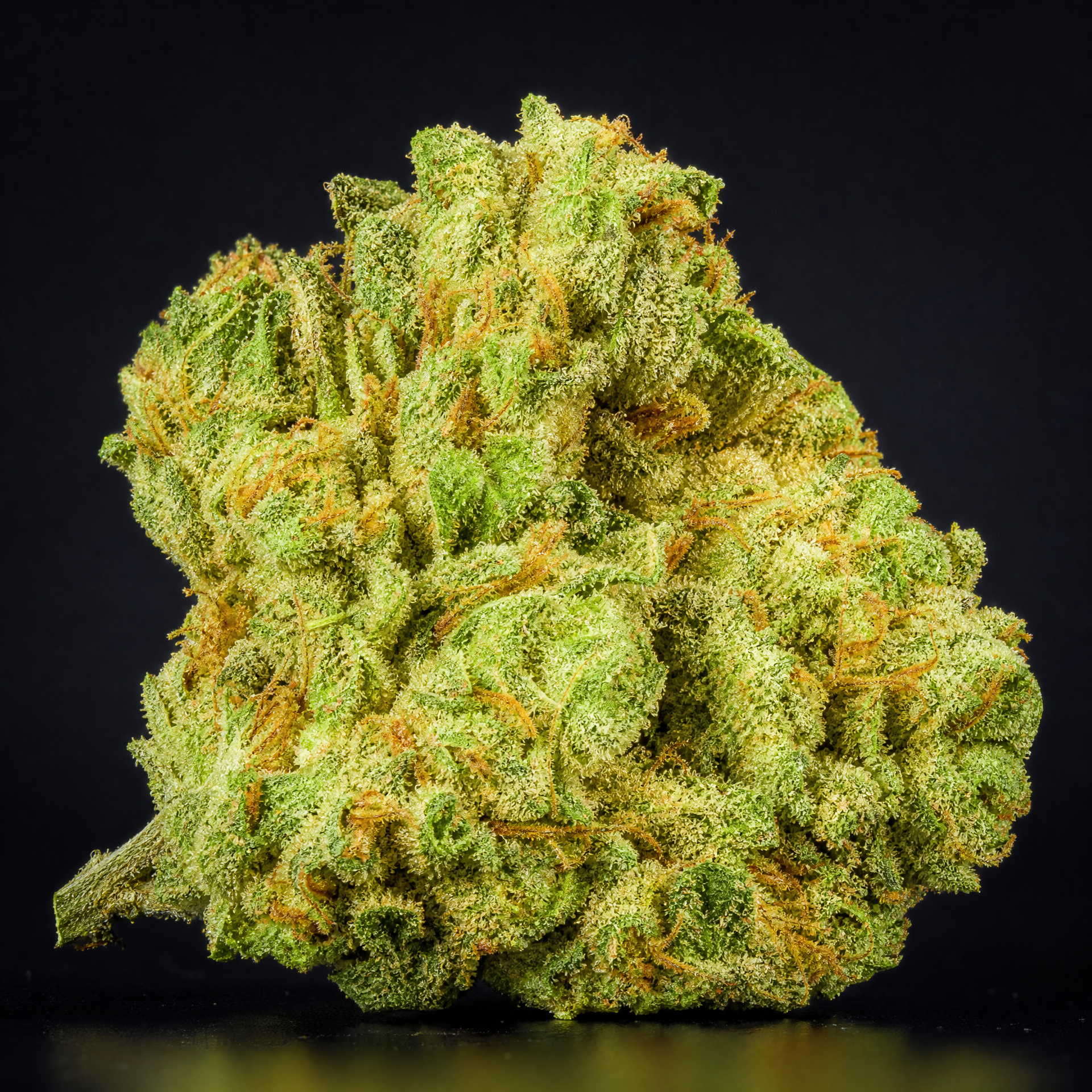 Lemon Skunk | AAAA | 1LB